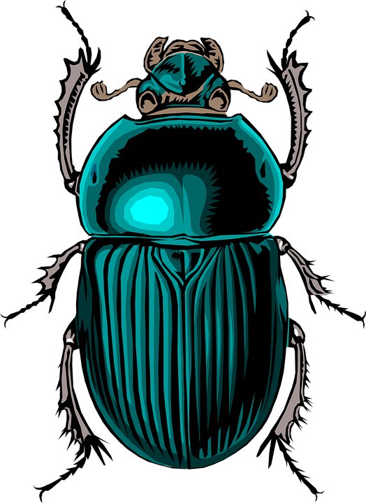 symbols green beetle